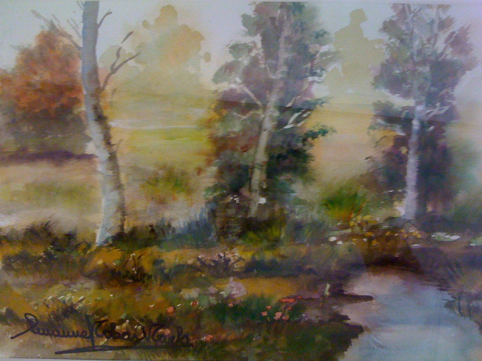 COLORES DE OTOÑO